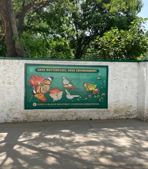Butterfly Park Sector 26 Chandigarh