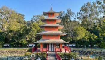 Japanese Garden - Best-Places-to-Visit-In-Chandigarh