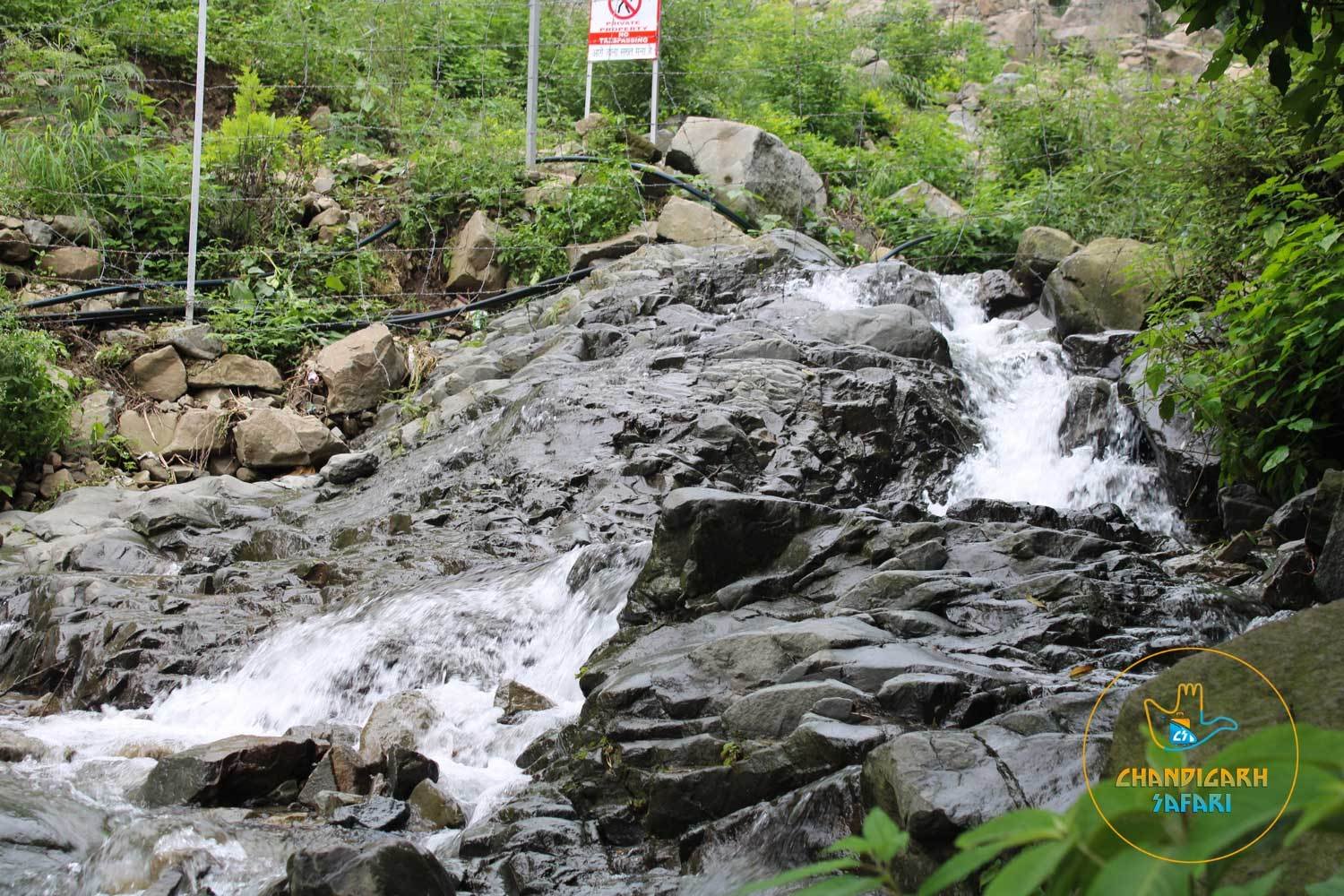 Jangeshu-Waterfall - Best-Place-to-Visit-In-Kasauli