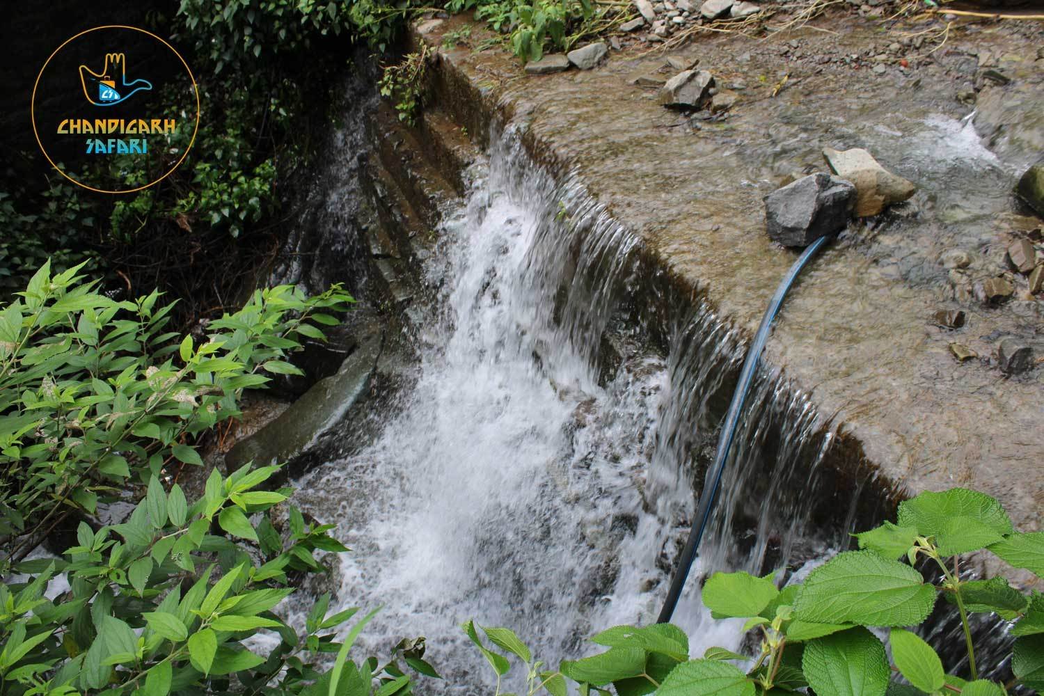 Jangeshu-Waterfall - Best-Place-to-Visit-In-Kasauli
