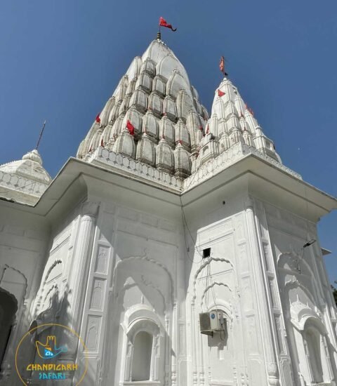 Mata Mansa Devi Temple Panchkula