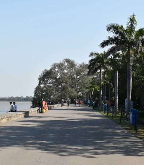 Sukhna Lake Chandigarh - Best-Places-to-Visit-In-Chandigarh