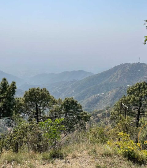 Sunset Point Kasauli