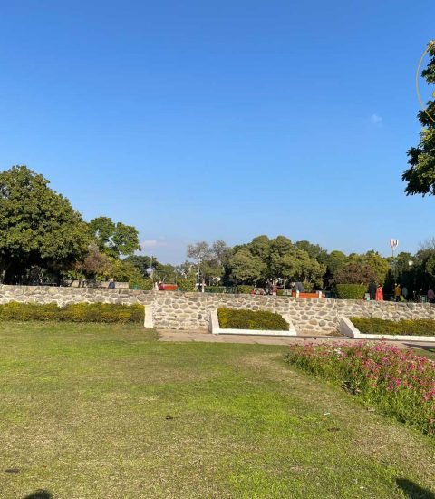 Best-Places-to-Visit-In-Chandigarh - Terrace-Garden