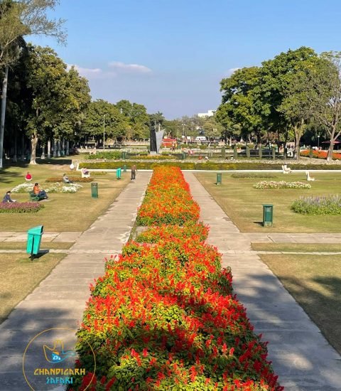 Terrace Garden - Best-Places-to-Visit-In-Chandigarh
